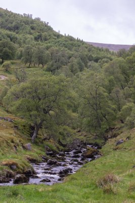 25 Farr Moor.jpg