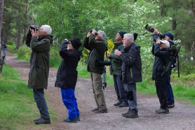 29 Birders.jpg