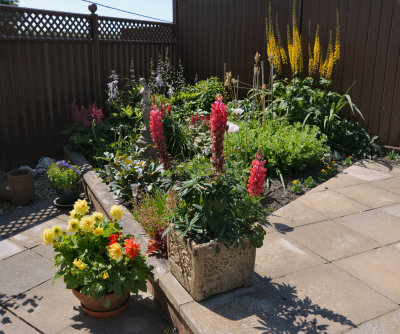 Front border inside.