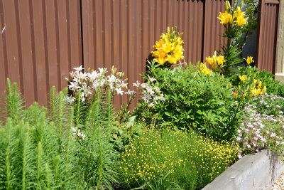 Outside Front Border.