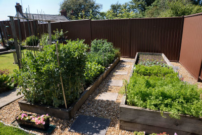 Raised beds.