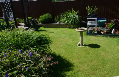 Side lawn and what is left of the Greenhouse..