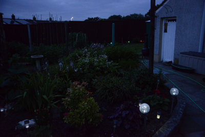 Garden at night.