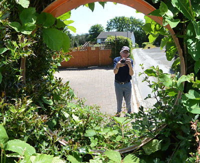 Mirror in hedge.