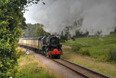 5197 in Leigh Woods.
