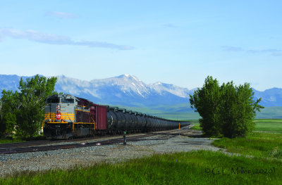 g12/92/937092/3/170840954.4bnmGnIX.jpg