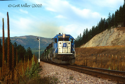g12/92/937092/3/171447302.rfstZP4E.jpg