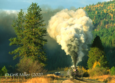 Passenger and Steam Trains
