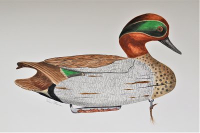 Green-wing Teal Maker: John Mcloughlin ca. 1935