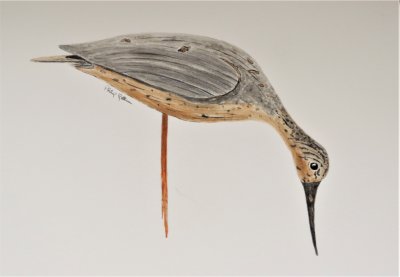 Greater Yellowlegs Feeding (Confidence decoy) Maker: Fred Nichols