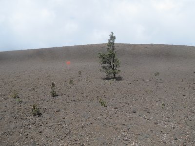 LAVA STONES FROM 1959 ERUPTION