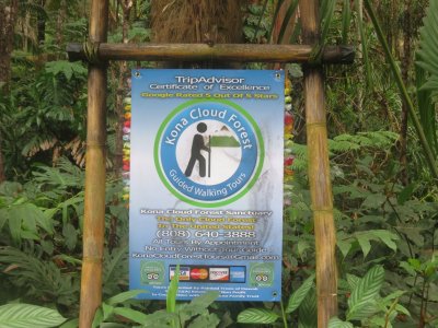 KONA CLOUD FOREST