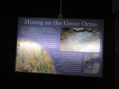 IMG_0303 (Large).JPG