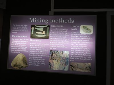 IMG_0305 (Large).JPG