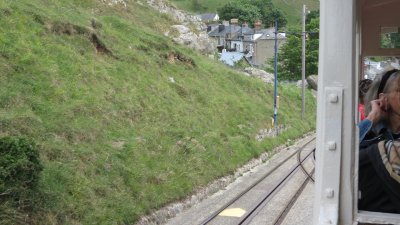 IMG_0323 (Large).JPG