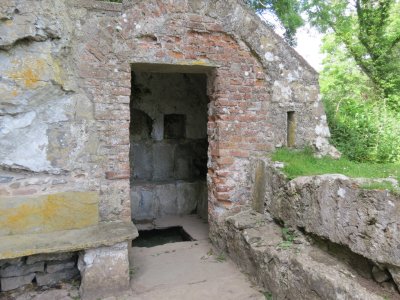 IMG_0344 (Large).JPG