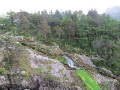 IMG_0355 (Large).JPG