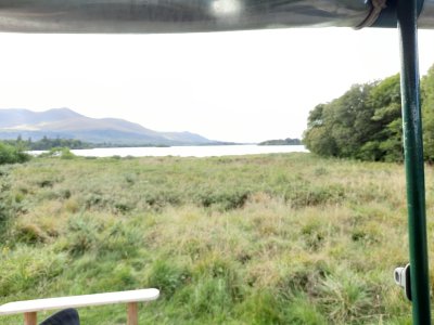 The Fourth Day of our Tour: Ring of Kerry and Killarney National Park