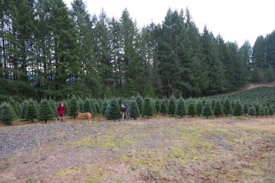 12-28-19 Shellburg Hike