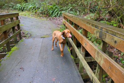 01-04-20 Magness Hike