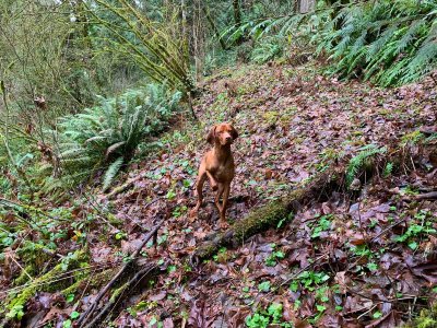 01-11-20 Creek Hike