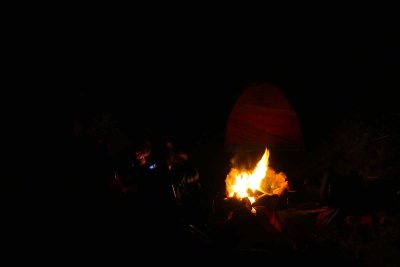 04-11-20 Treehouse Camping