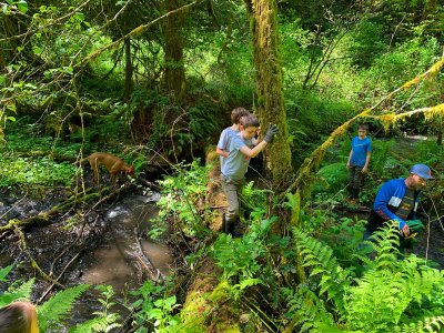 04-25-20 Creek Hike