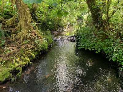 05-17-20 Magness Hike