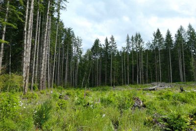 06-14-20 Reehers Hike