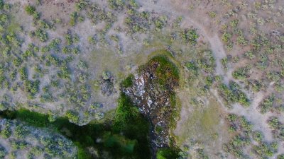 DJI_0099.jpg