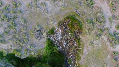 DJI_0100.jpg