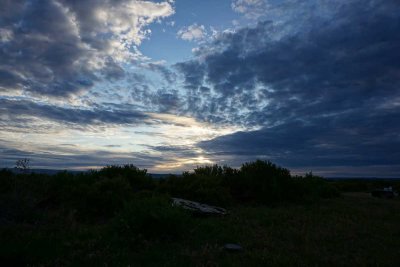 DSC00062.jpg