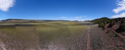DJI_0203.jpg