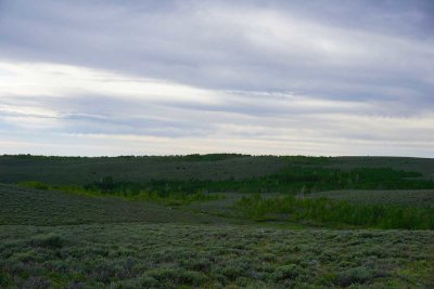 DSC00688.jpg