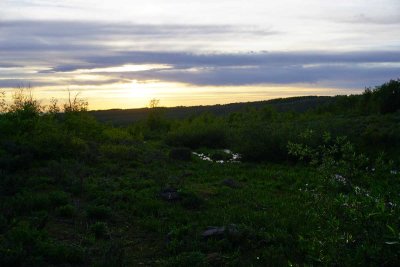 DSC00700.jpg