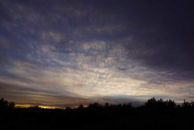 DSC00712.jpg