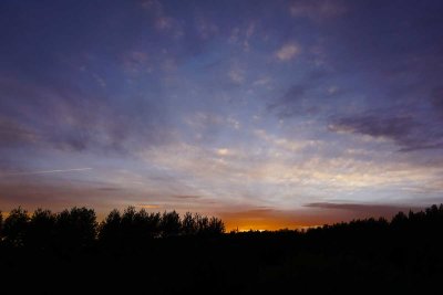 DSC00713.jpg