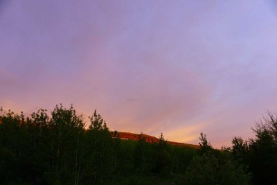 DSC00716.jpg