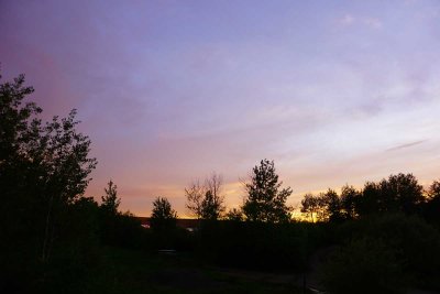DSC00717.jpg