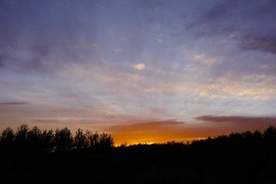 DSC00718.jpg