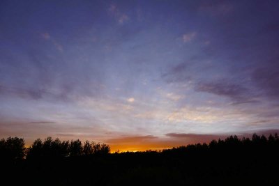 DSC00719.jpg