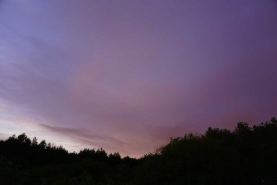 DSC00720.jpg