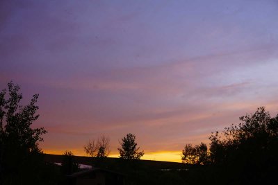 DSC00721.jpg