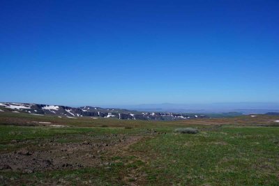 DSC00770.jpg