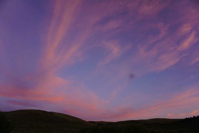 DSC00844.jpg