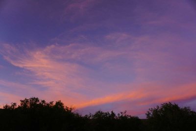 DSC00845.jpg