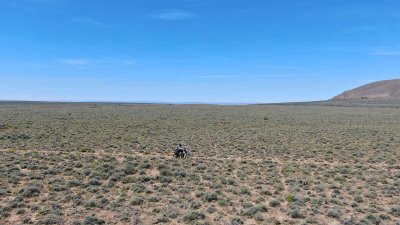 DJI_0249.jpg