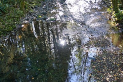 10-31-20 Idiot Creek Hike