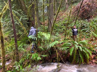 12-20-20 Chicken Creek Hike