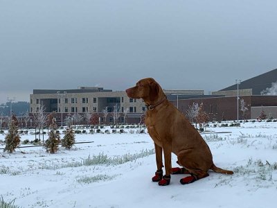 02-13-21 Sherwood Walk